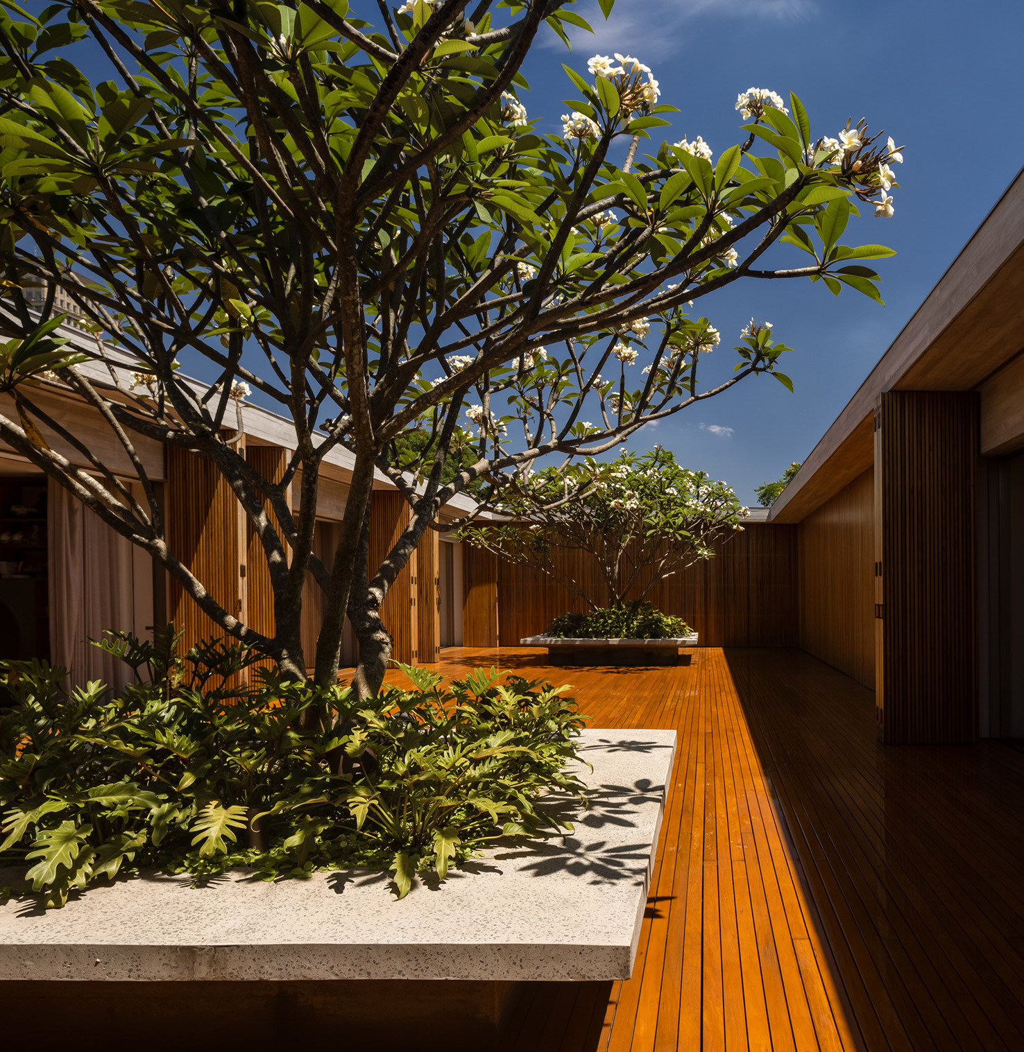 Casa 3M — foto 2